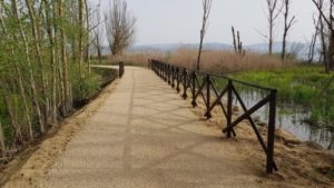 pista ciclabile Castiglione del Lago